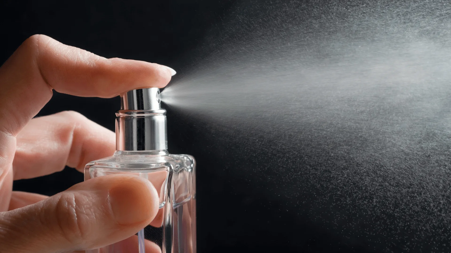 rjfragrances mens collection